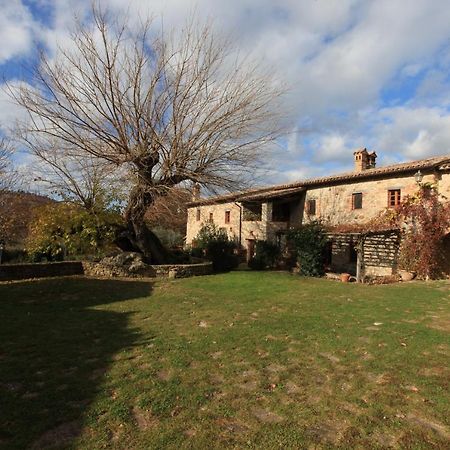 Antico Gelso Villa Todi Exterior foto