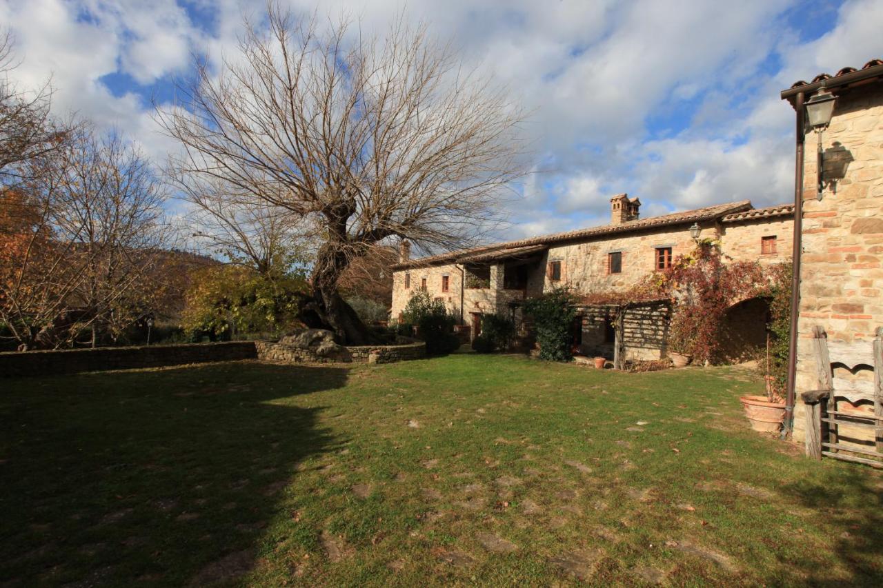 Antico Gelso Villa Todi Exterior foto